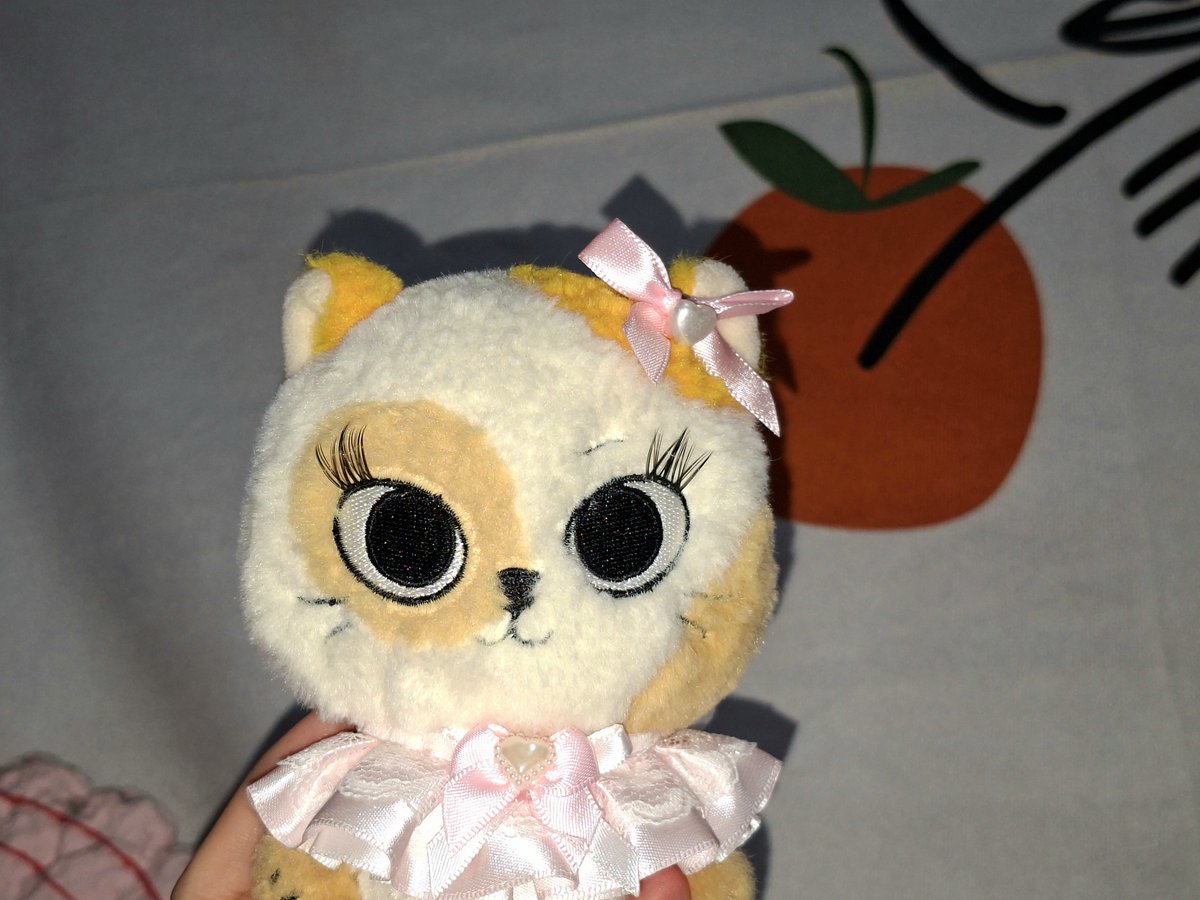 sungholyy's tweet photo. .⋆❀catbbink°.ᐟ https://t.co/ENobFRPKRP