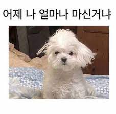 4everever___'s tweet photo. 아존내힘들다 (거꾸로읽어🤍🤍) https://t.co/pMUrS5obiK