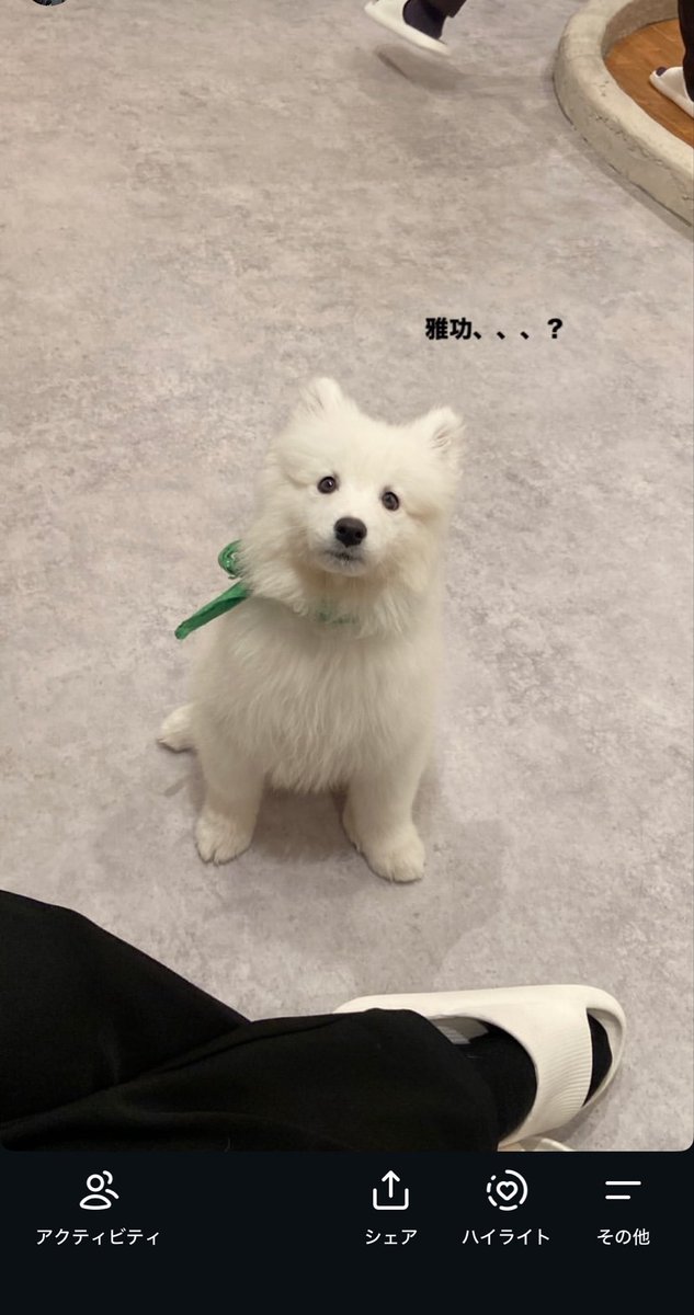 fhkr_812's tweet photo. 待ち時間暇すぎてこんなストーリーを発掘した https://t.co/hWYy6aGK55