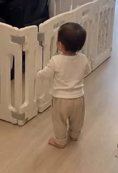 nadaeladela's tweet photo. Dari beberapa hari lalu suami ngoceh terus, “Anak udah mulai merangkak, bahaya! Harus beli pagar bayi!”
Hari ini pulang kerja malah nemu pemandangan begini 😭🤣

Mas…
INI TUJUANNYA BELI PAGAR BAYI APA GIMANA SIH 😭￼ https://t.co/kZDcQlOfLA