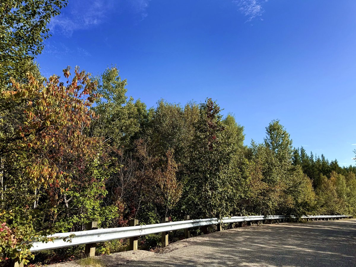 HeyItsMeMissJT's tweet photo. It's the most wonderful time of the year! #LookWhatIFound #AutumnIsComing #ILoveFallMostOfAll #PlaidVibes #SweetSeptember #Hiking #OutdoorFitness #DayOff #HitTheTrails #WhatAView 🍂🌻🎃🍂🌲🍁🍃 https://t.co/7V7rJS7mx1