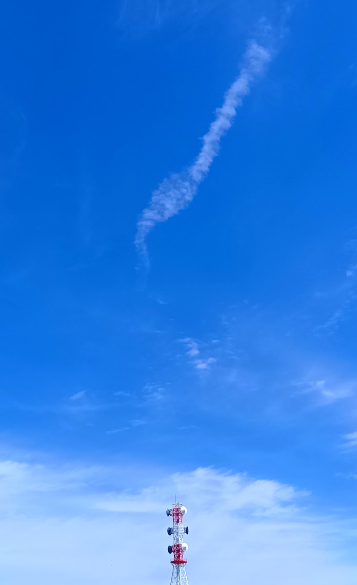 kannojou's tweet photo. 今日も気持ちよい青空が広がっている🙄

暦を見たら毎月18日は「頭髪の日��だそうだ⋯⋯葦の穂って ススキよりボリュームがあってイイね👍️

#秋田市 #イマソラ https://t.co/A9vgwanhNH