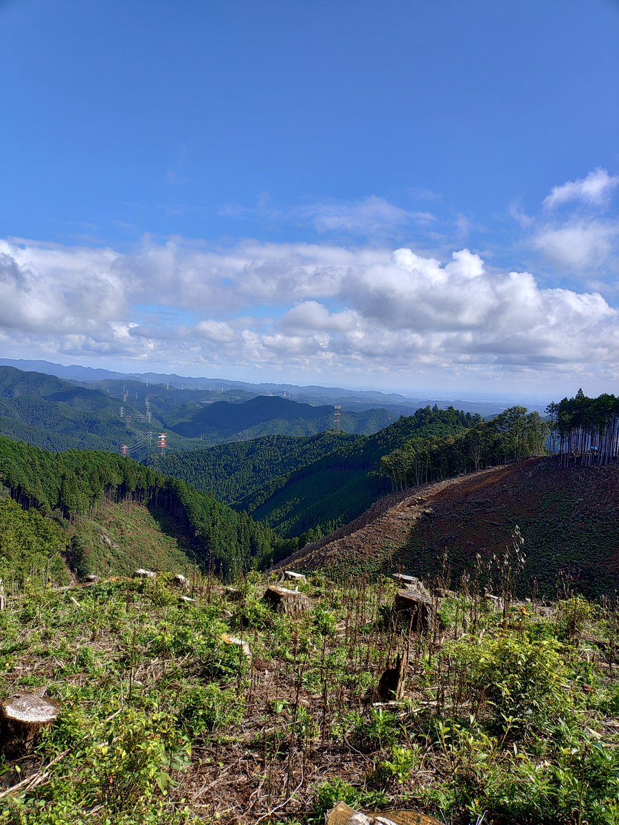 theopen9's tweet photo. 道の無い東尾根で地味な三室山へ上がったら尾根沿いに良き良きな伐採地が！
あと数年はこの景色が楽しめそうです♫
まだ残り2/3ぐらいあるけど、これ以上の嬉しいサプライズは無い予定🤣 https://t.co/9qVAFBXa3i