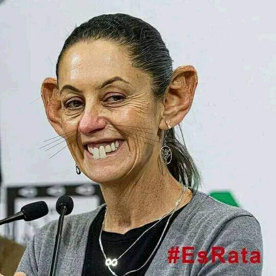 JUCESAR07's tweet photo. @naattorres1 @JorgeArmandoR_ @AlessandraRdlv Mira nomas que mujerones, preparadas, inteligentes, guapas y elegantes, nada que ver con la presirvienta @Claudiashein que vive en nuestro palacio nacional https://t.co/h6gTk3Udsn