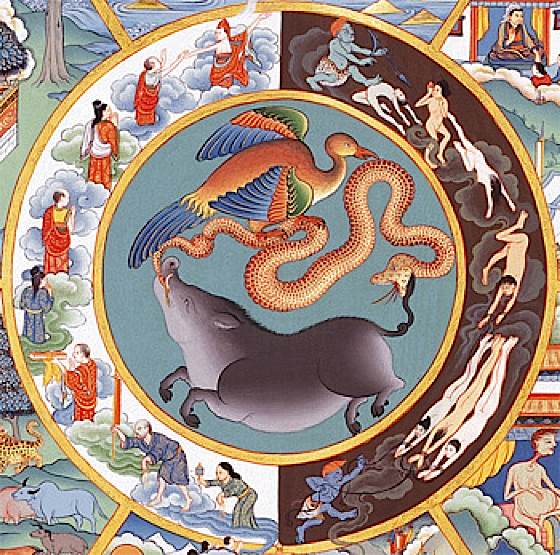 BuddhaQuotes's tweet photo. There are five clinging skandhas: form, feeling, perception,  desires and consciousness. https://t.co/X4OADfk1d6
