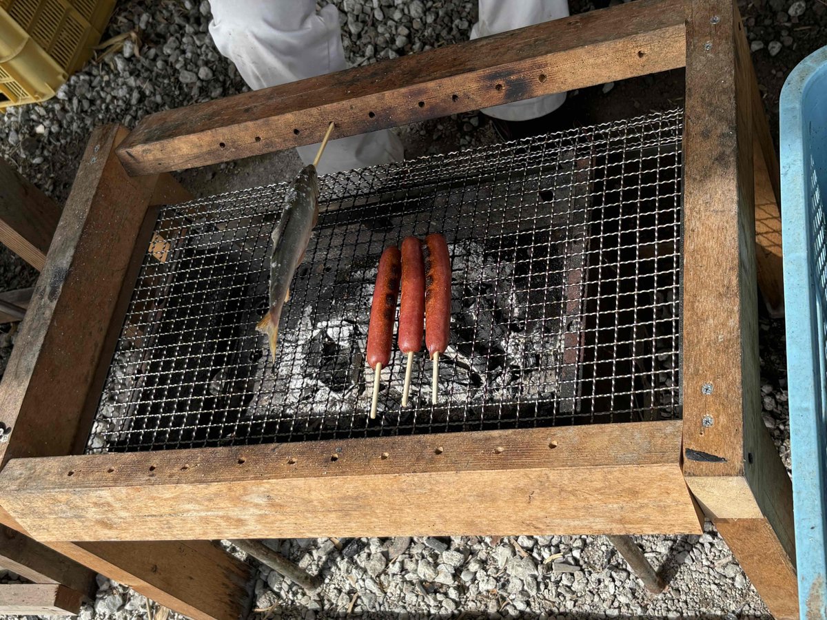 minamialpsten's tweet photo. 山梨市にある自然体験型施設
”あそばる”で遊んできたよー🐾

初体験の魚のつかみどり🐡

豊かな自然に癒されて🌳
楽しすぎて満喫しすぎました⸜(*ˊᗜˋ*)⸝ https://t.co/fZUu3IwNft