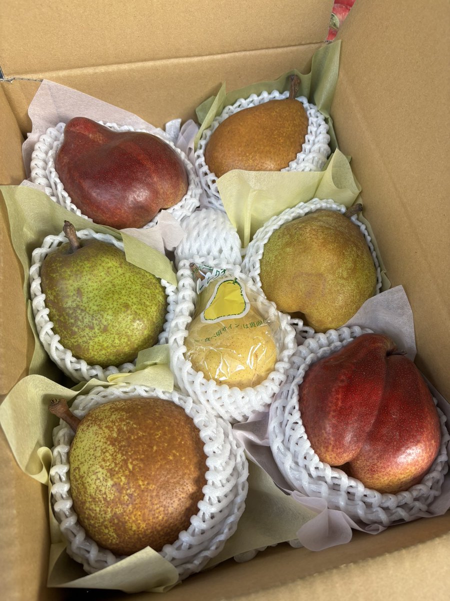 cacacafruits's tweet photo. 【お知らせ】

花香果フルーツです。今月ですが、メンバーの都合がつかず、青山ファーマーズマーケットへの出店を見合わせます😭

楽しみにしてくださっていた方、申し訳ございません

はたんきょーのSHOPでは様々な果物を販売しています。そちらもよろしければご利用ください
https://t.co/BYj2clvJ7T https://t.co/F1V2cFpXlM