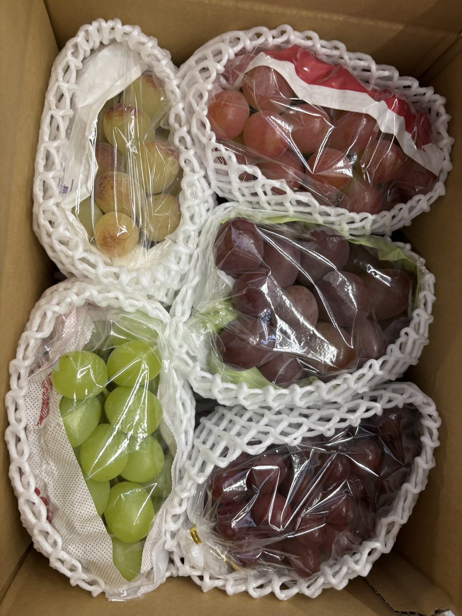 cacacafruits's tweet photo. 【お知らせ】

花香果フルーツです。今月ですが、メンバーの都合がつかず、青山ファーマーズマーケットへの出店を見合わせます😭

楽しみにしてくださっていた方、申し訳ございません

はたんきょーのSHOPでは様々な果物を販売しています。そちらもよろしければご利用ください
https://t.co/BYj2clvJ7T https://t.co/F1V2cFpXlM