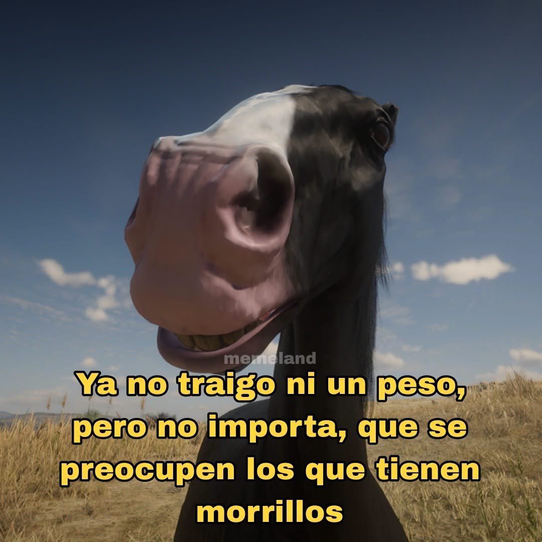 ElJeringasLoko's tweet photo. https://t.co/iqens75gN0