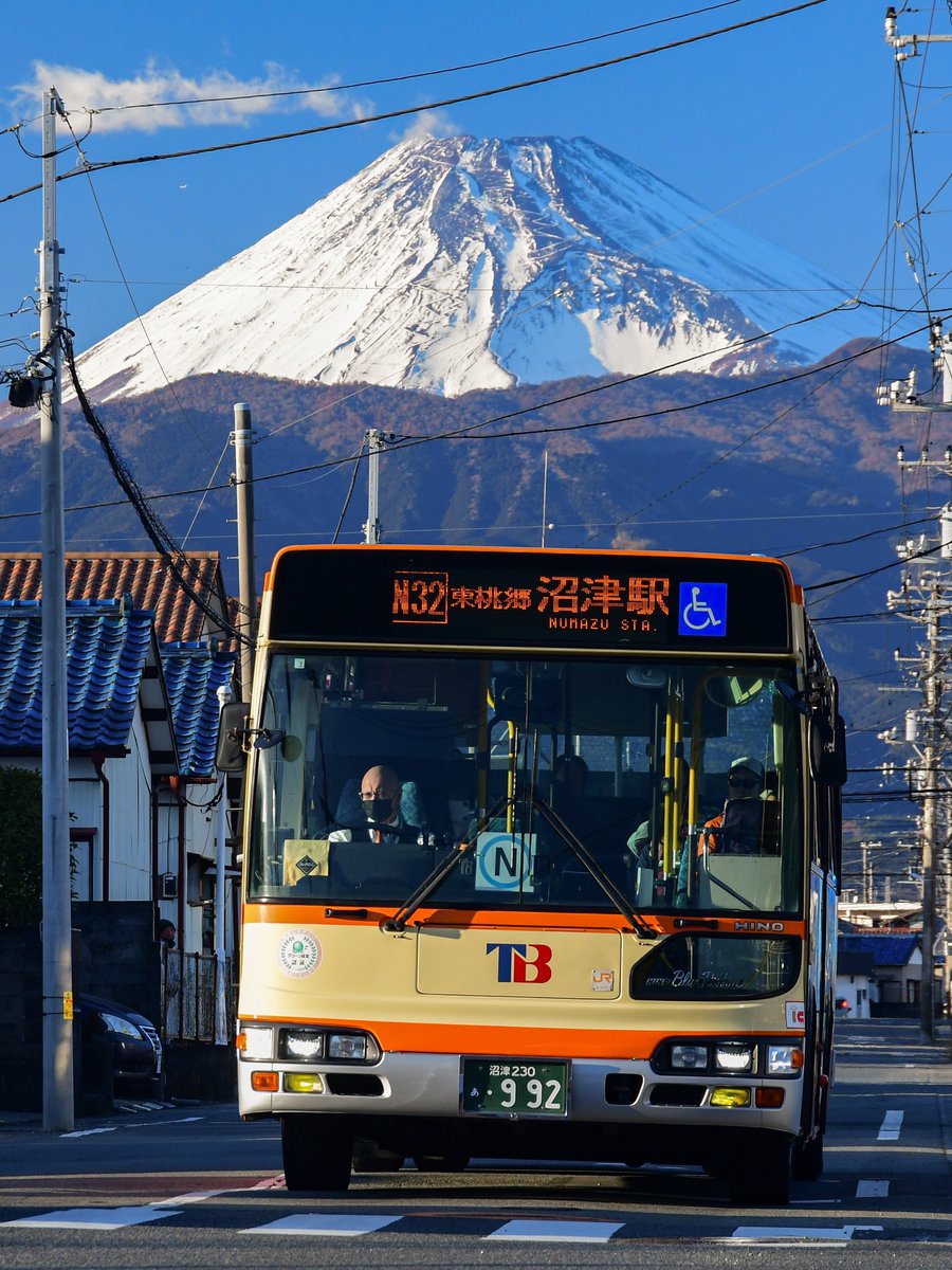 tokaibus_oa's tweet photo. 9月20日は「バスの日」です！🚍
1903年9月20日に、日本で初めてバスが運行されたことにちなんで制定されました。

東海バスは今年で創立110周年を迎えます。
【これまでも これからも この道で】
地域の皆さまの暮らしや観光を支える公共交通機関として、伊豆半島を走り続けていきます！
#バスの日 https://t.co/S8GLqBEb2c