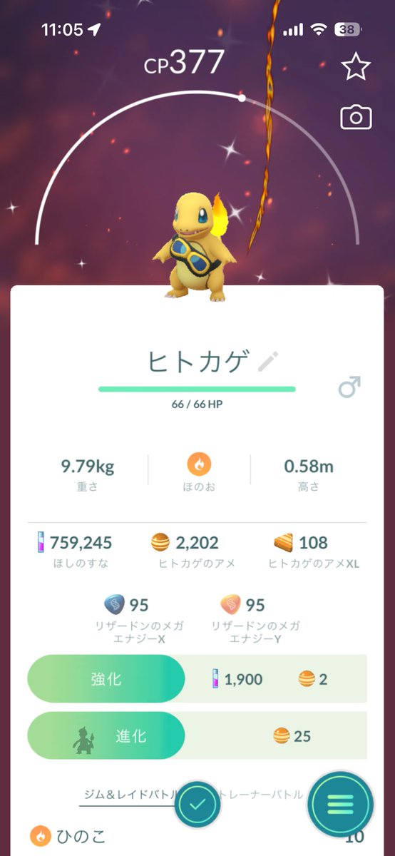 Game_rabbit33's tweet photo. えっ、え！？！？
2匹目キターーーーーー！！！！！

つ、次は背景もお願いします！！！！

#PokémonGO #ポケモンGO https://t.co/T88Rd3GmYx