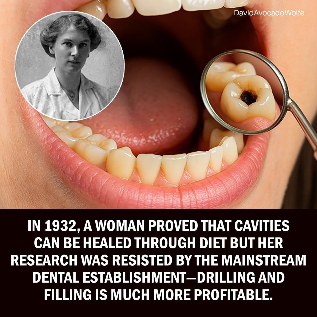 DavidWolfe's tweet photo. https://t.co/TMop9cJXeJ