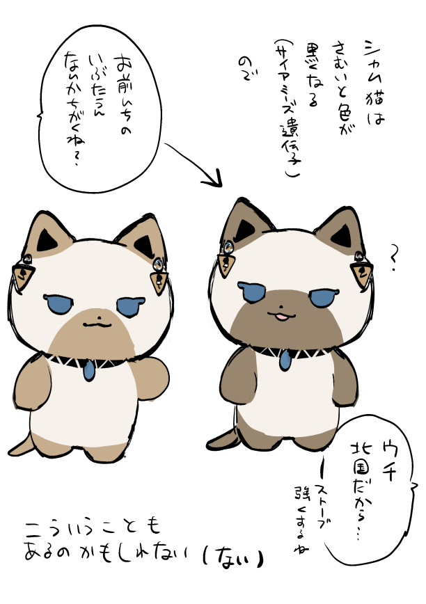 smallhouse_live's tweet photo. ない https://t.co/EINeK8iXhY