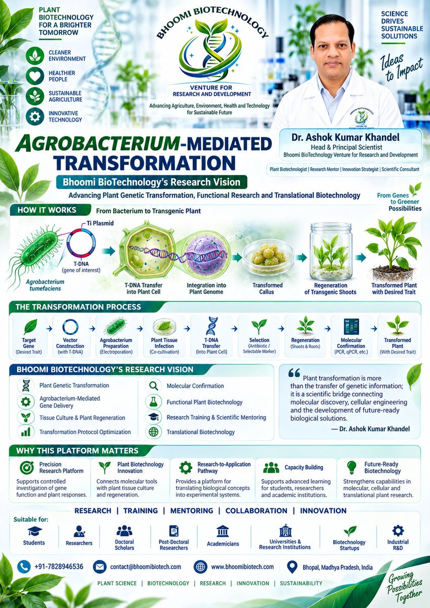 BhoomiBioTechX's tweet photo. π±π§¬ Agrobacterium-Mediated Transformation
From target gene β T-DNA transfer β selection β regeneration β molecular confirmation, plant transformation.
#PlantBiotechnology #Agrobacterium #GeneticEngineering #Biotechnology #PlantScience #Innovation https://t.co/e7I0LyBmfH