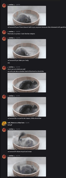 footlongfunkers's tweet photo. does anyone know why my friend wont respond to me? (before you ask, ive already tried the "gif of a chinchilla rolling around in dust" strat.) https://t.co/D9j7S4FNzO