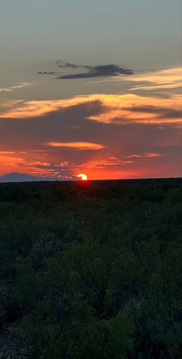 ElCardenaldeNL's tweet photo. Bueno pues ya que veo a varios con el mame de #Atardeceres así la puesta acá en el Rancho en el NE de  #NuevoLeón https://t.co/w4DYkKgkOO