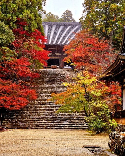 kyoto_triptime's tweet photo. 京都の秋・神護寺 高雄の山深く、静けさの中に凛とした空気が漂う。石段を上るほど色づく紅葉が濃くなる。
 おすすめ：自然・ハイキング好きな人・静寂を味わいたい人😀 ＃京都　＃紅葉　＃高雄　＃紅葉狩り　＃旅行 https://t.co/KozpfgwyAL