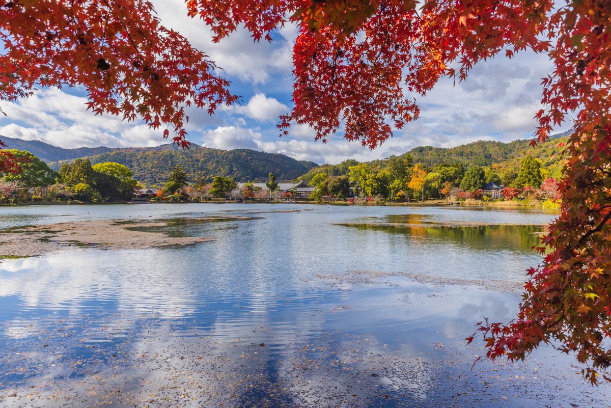 kyoto_triptime's tweet photo. 京都の秋・大覚寺 大沢池の水面に映る紅葉がゆったり揺れる。広々とした境内で、散策できる。
おすすめ：水辺の景色が好きな人・源氏物語が好きな人😀 ＃京都　＃紅葉　＃嵯峨　＃平安ロマン　＃源氏物語 https://t.co/i8CNzOY6mA