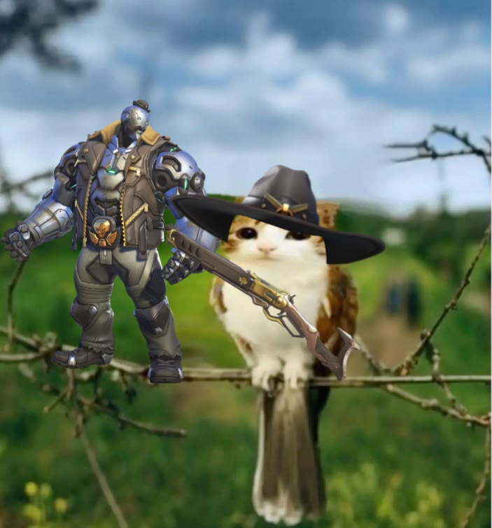 meowlverwatch's tweet photo. 📌Welcome to Meowlverwatch! ✨ 
In this profile, I'll be turning ALL heroes into meowls!!

Here's the thread with all of them, enjoy🩶🧡:

Ana / Anran / Ashe / Bastion https://t.co/dU20n8e5HR