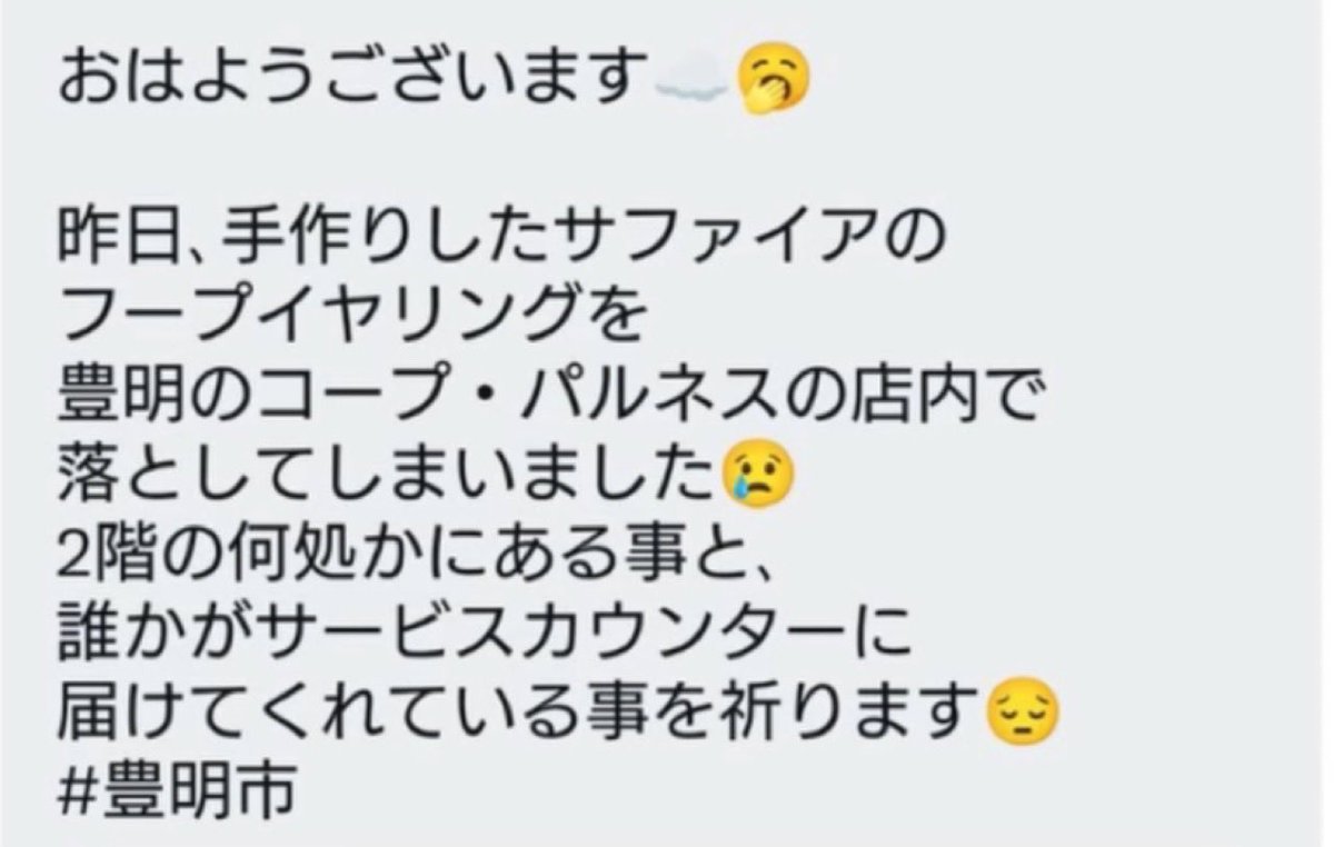 M_minimal0723's tweet photo. 9月17日の11時以降にパルネス豊明に行かれた方々へ。昨日一緒にランチ、お茶した友人がイヤリングを落としました。大切なイヤリングなので見つけたらパルネスのサービスカウンターに届けて欲しいです。見つかりますように。
#愛知県豊明市 #パルネス #落し物 #拡散希望 https://t.co/CvwLd2OisH