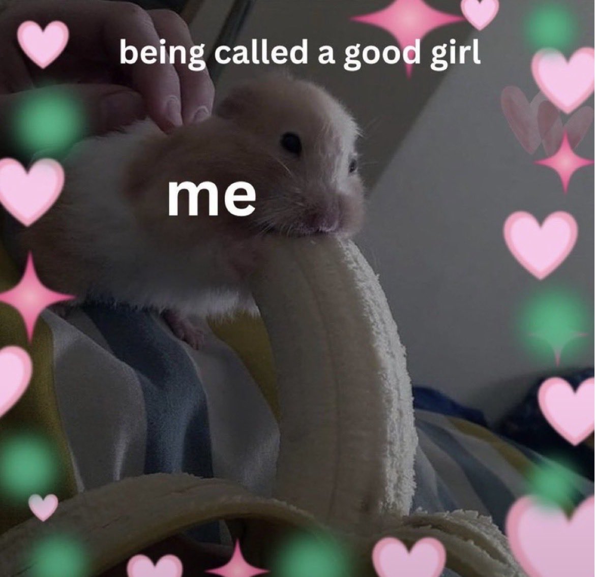 ceragirl20's tweet photo. https://t.co/pjag88btBi