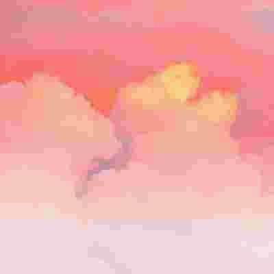 Lisa75112676's tweet photo. Election day vibes are real. Voted early  🍄 💐 🍁 https://t.co/IkWFd0QCuL