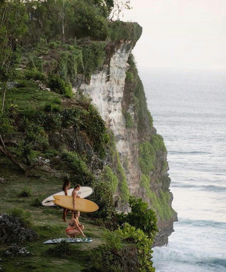SurfsUpSage's tweet photo. “Looks pretty calm, let’s head down!” https://t.co/7MWm9Taf0G