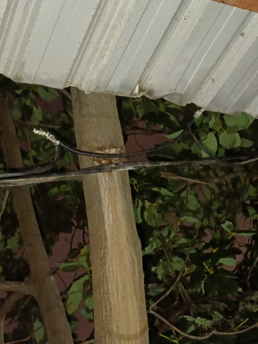 RiotMore's tweet photo. Amigos @CNEL_EP su ayuda, hace un tiempo hubo un cortocircuito en estos cables de luz, los técnicos lo dejaron así unidos y pelados y ahora con fuerte viento están rozando el techo de nuestra casa y tirando chispas, esta peligroso. Si pronta revisión por favor. #Duran https://t.co/CLLqyBbTca