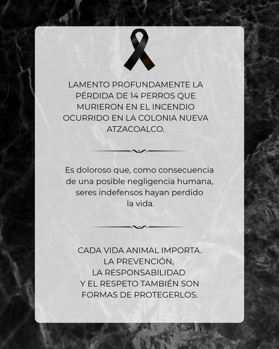 AnaJVillagran's tweet photo. 14 perros muertos en su casa por el probable acto de 3 menores de edad, no “fue un accidente” o “una tragedia”: FUE UN ACTO CRIMINAL 
Y sin importar la edad de los que lanzaron la pirotecnia debe haber un castigo y responsables en la cárcel: TÍTULO PERSONAL 
🖤🇲🇽  #GAM el corazón llora