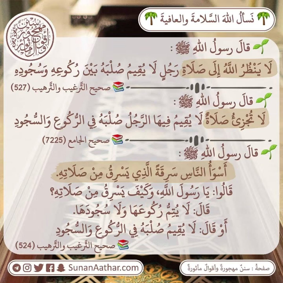Sunanaathar's tweet photo. 🌴 *احذَر يا عبدَ اللهِ* 🌴
------------------------
📜  《 سُنَنٌ مَهجورةٌ وأَقوالٌ مأثورةٌ 》
https://t.co/c3MUmMgpVS 

قناة تلغرام :
https://t.co/YaHVyiqf2N
قناة وتس أب :
https://t.co/ATv3C0MUdL https://t.co/n0Udn5E8Ph