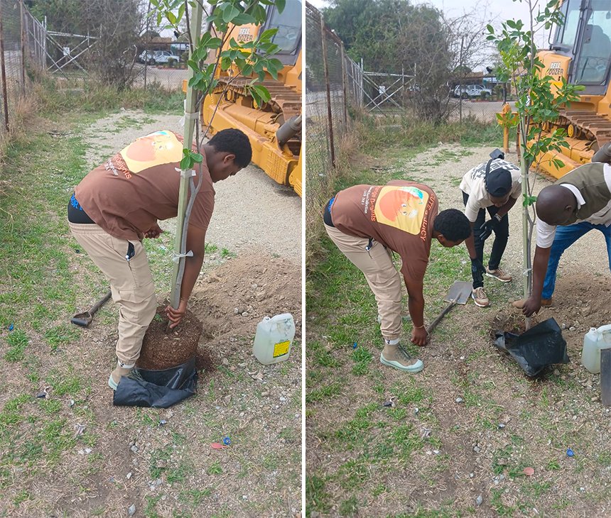 bojanalapdm's tweet photo. The tree-planting campaign is officially underway and the roots of a greener #Bojanala are already spreading across the district!
Trees have already been planted in Mfidikwe in #Rustenburg Local Municipality, Derby in #Kgetlengrivier Local Municipality, Motla in #Moretele Local Municipality and Mothutlung in #Madibeng Local Municipality.
Every tree planted is an investment in cleaner air, greener communities and a healthier environment for generations to come. 🌳
And we’re only getting started! Let’s keep planting, growing and building a greener Bojanala together.