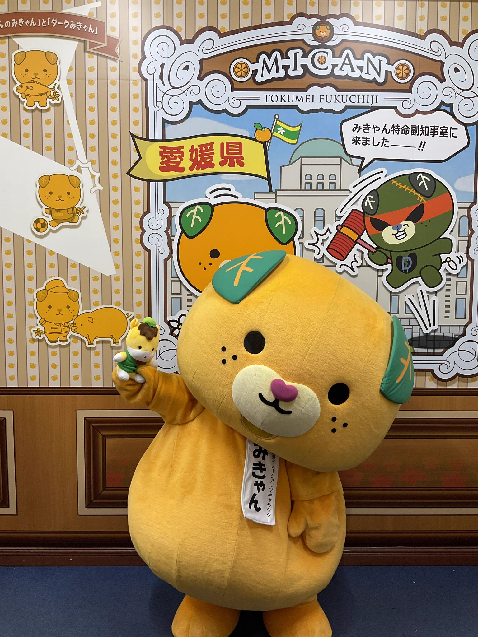 活動歴および当時の関連ビジュアル記録