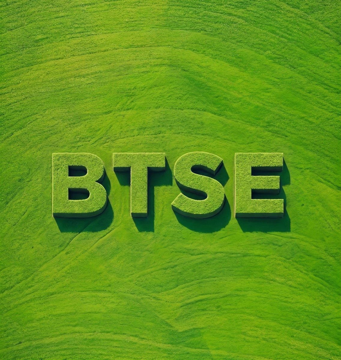 BTSE_Official's tweet photo. Touch grass today, lock in tomorrow https://t.co/62vmK7rtPe