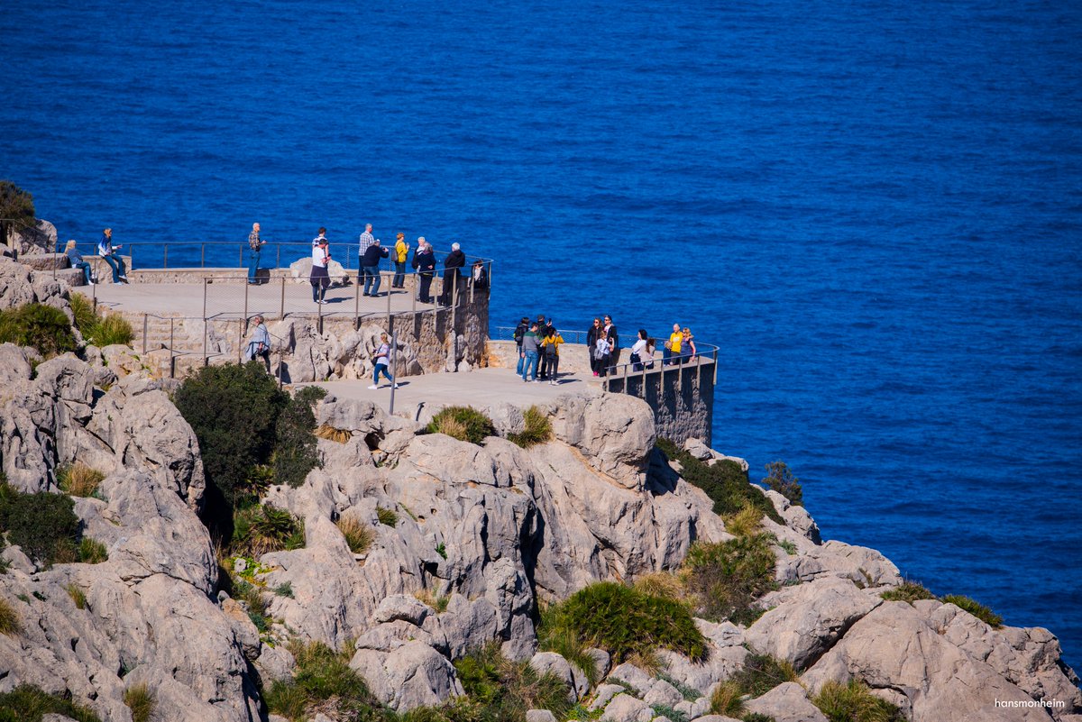 Pollenca_com's tweet photo. 😍Mirador del Colomer
📍Península de Formentor
🚌https://t.co/MwhU4jwccy
📸 Hans Monheim

@MallorcaTourism https://t.co/vrzNWG4447