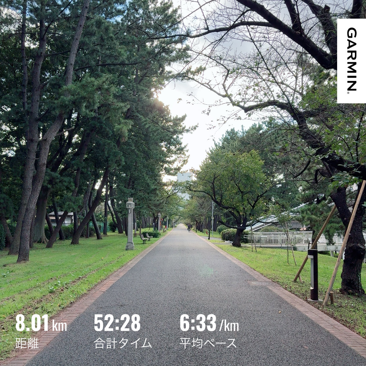 takashise2's tweet photo. #ランニング
#東京
#おかやまマラソン https://t.co/9GGVoWVKas