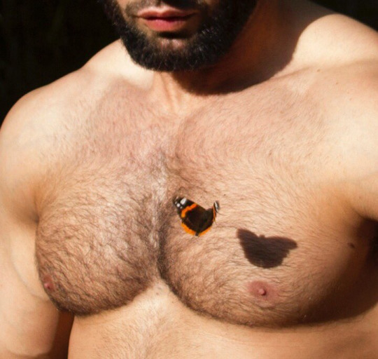 Xersex2009's tweet photo. #butterflies for my #twitterfamily
happy #wednesgay https://t.co/0OPKgQsM25