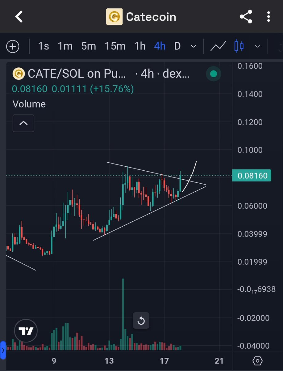 TrojanEVM's tweet photo. LFG $CATE https://t.co/HxZAZQragS