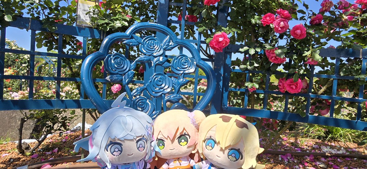kuma25251's tweet photo. 確かに推しは増えたさ。けどね最推しはこれまでもこれからもねねちなんよ！ https://t.co/TZZ0yQP6Ej