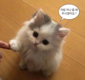 limmil0926's tweet photo. 나랑 친해지자아
맘눌뎀 다갈게요

#멜섭 #펨돔 #맘눌뎀 https://t.co/qSVlGku2I4