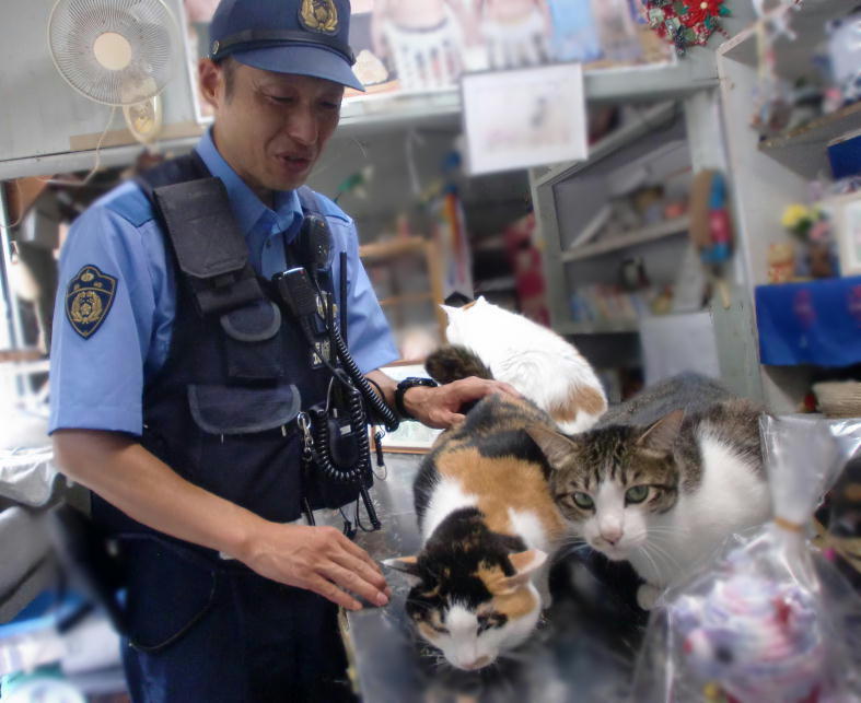 NPP_kikaku's tweet photo. 【 #平戸警察署 】
〈巡回連絡での出会い〉
訪れたお店で、ねこちゃん達が迎えてくれました☆
「最近、お変わりニャいですか？」
皆さんとの会話やふれあいを大切にしながら、今日も地域を知っていきます。
#巡回連絡 へのご理解ご協力をよろしくお願いします！
#警察官　#猫　#モフモフ https://t.co/1fUTyVqh3N