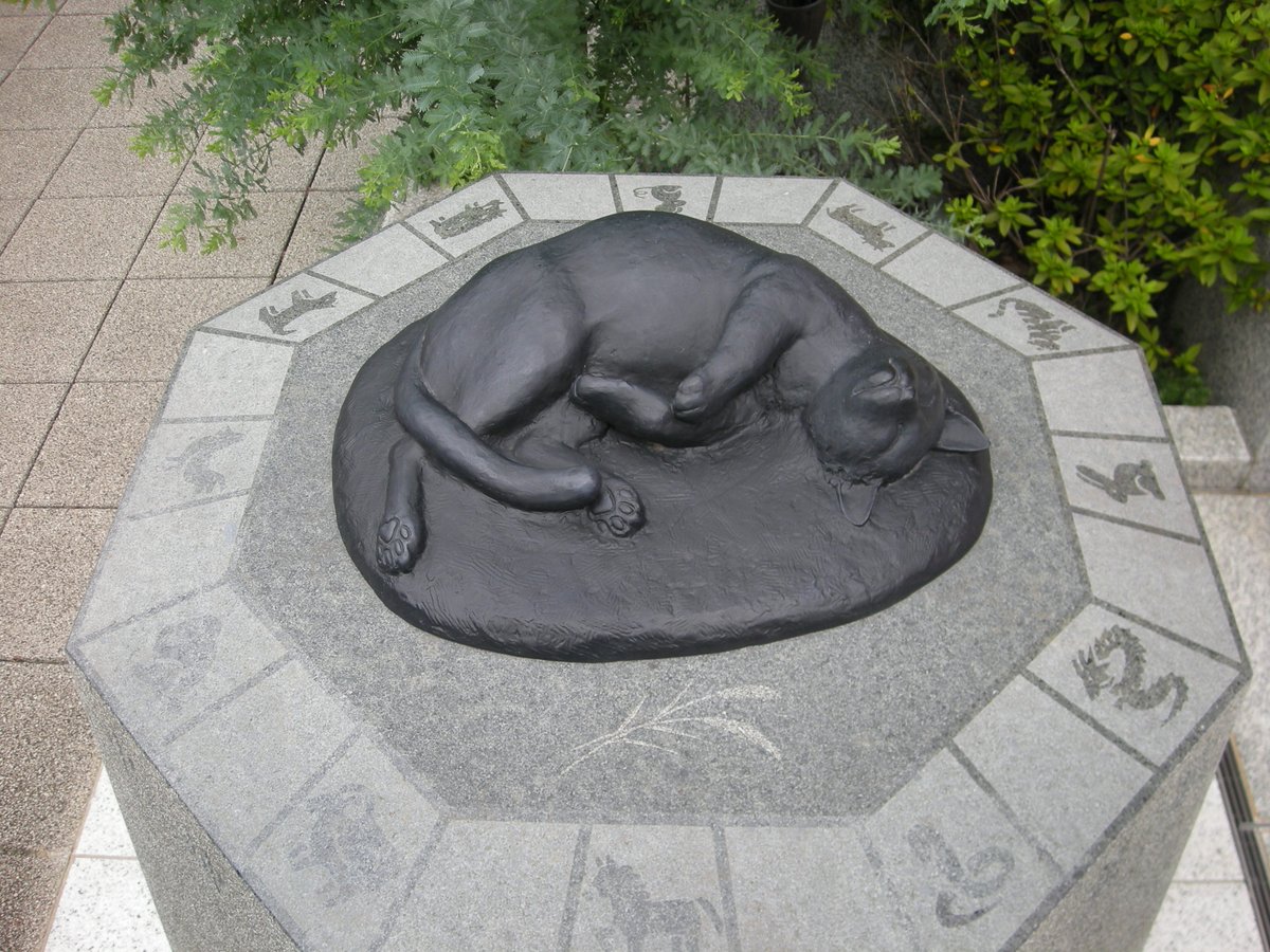 TOKYO_alook's tweet photo. 撫牛ならぬ本物の撫猫の妙義神社
むぎちゃんは社務所でいつも接客お利口さん
たくさんの人に撫でられても逃げません
ふくちゃんは恥ずかしがり屋で逃げちゃうけどね https://t.co/2e514d0sNs