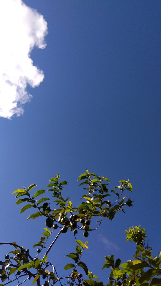 oZP60SDBFZ32514's tweet photo. お疲れさまです

どうも低調…🙄💬

出掛けようかと
準備まではしましたが…

寝ちゃいました🌀
ｵﾄﾛｴｶﾅ…(；´∀｀)y−~~~

まだお仕事中の方や
これからお仕事の方は
くれぐれも無理なく🍀

何かしら
食べなきゃね…

また後ほど
お邪魔します

#イマソラ
#キリトリセカイ https://t.co/KKI9xa902T