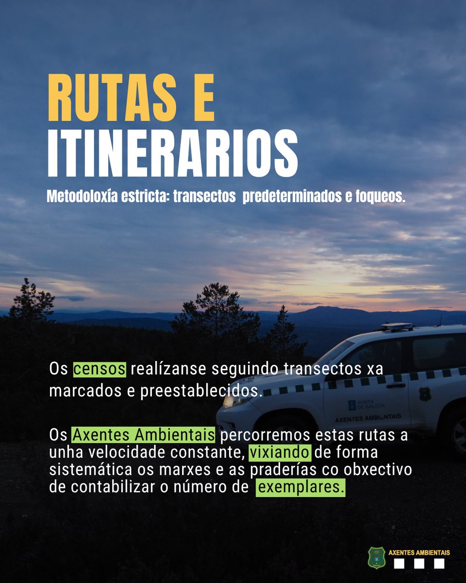 APRAFOGA's tweet photo. No noso traballo coma #axentesambientais , a #vixilancia e o seguimento de especies coma a lebre (#Lepusgranatensis) son fundamentais para coñecer o estado real das poboacións silvestres e garantir a sua #conservación a longo prazo. https://t.co/GjN6whBUBH