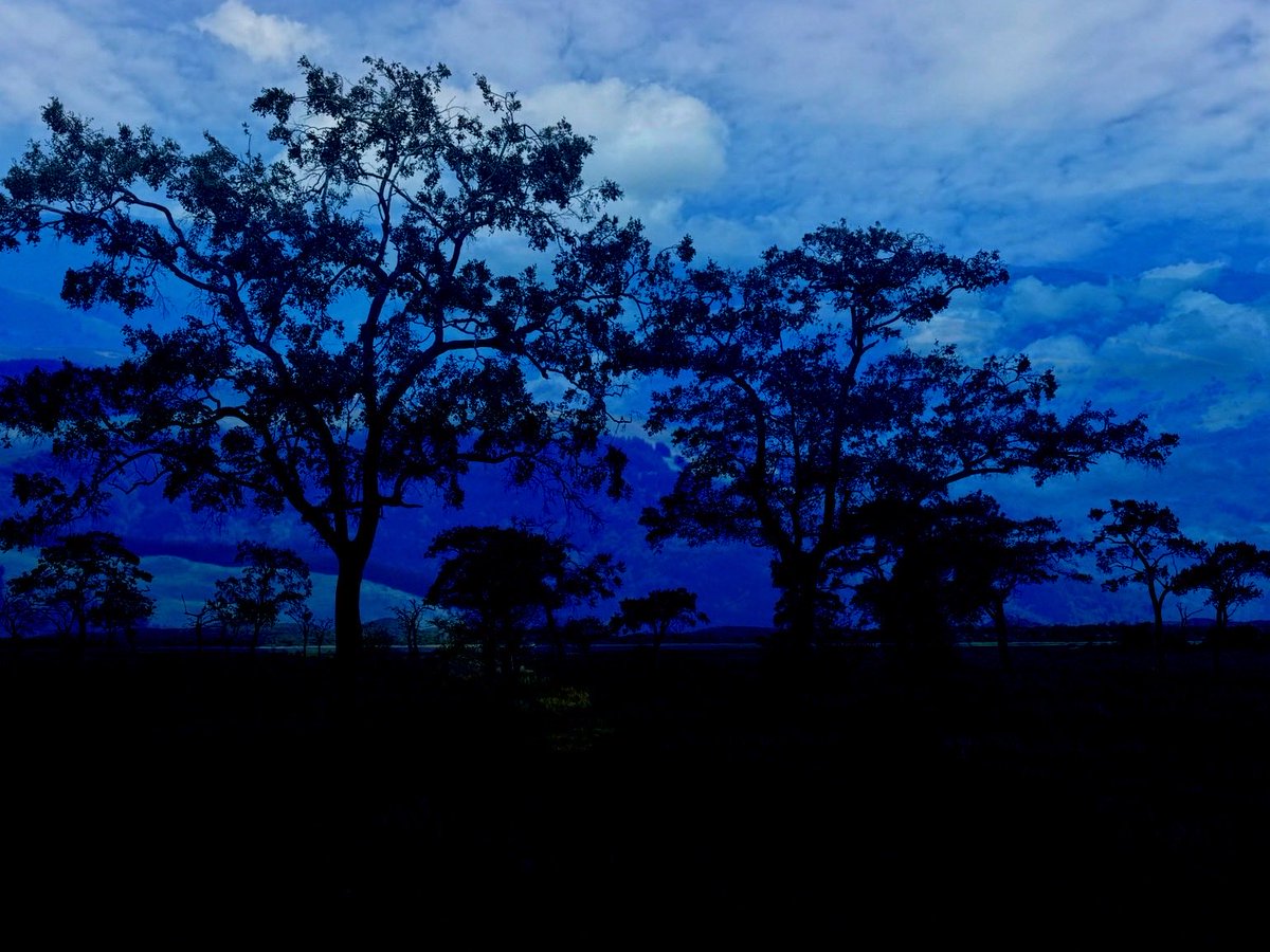 lizaphoto20's tweet photo. when blue takes over
#photography https://t.co/capYn6LNpF