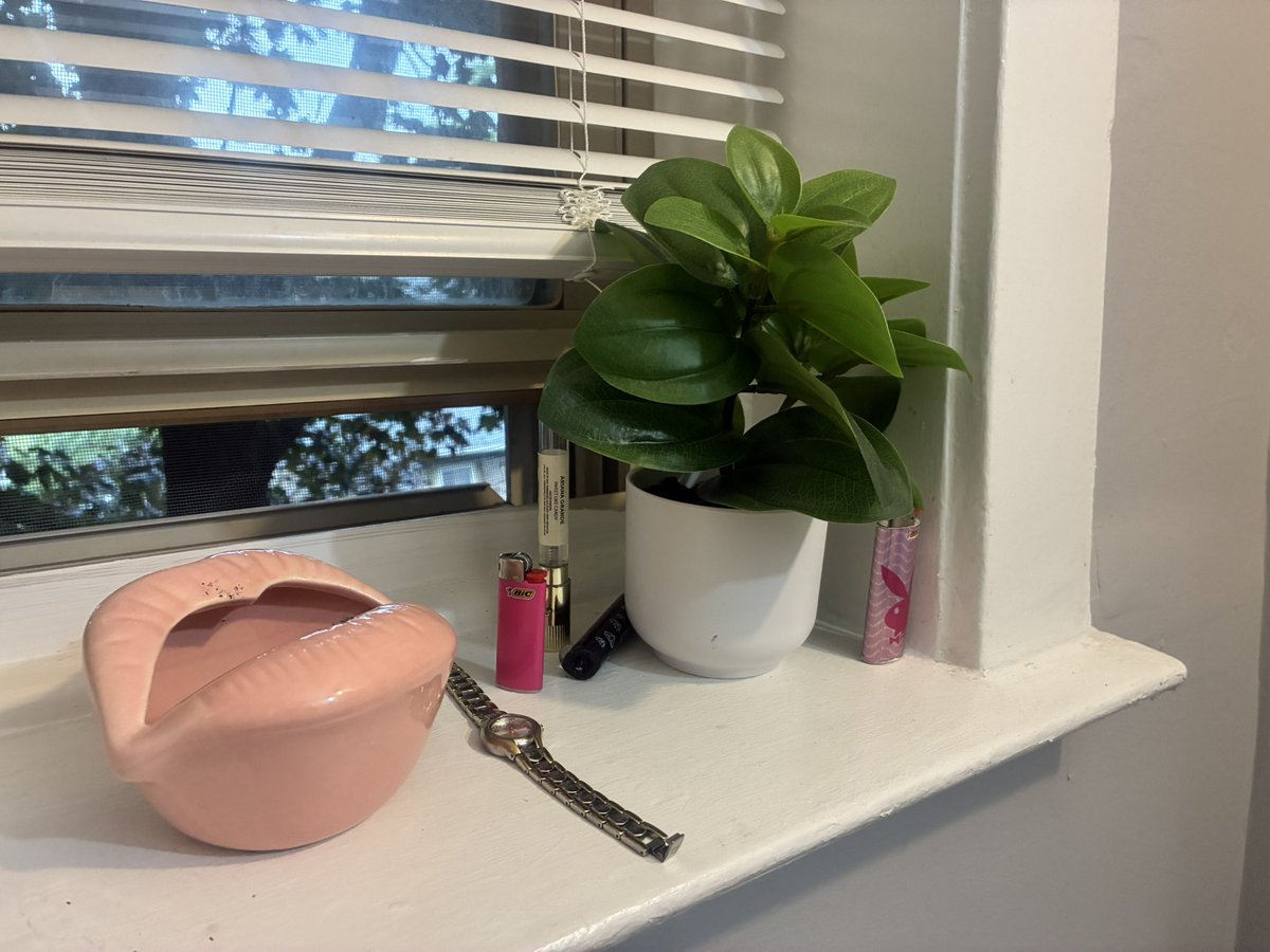 mrsdecemberr's tweet photo. essentials🌸 https://t.co/Juo5y8Vmqp