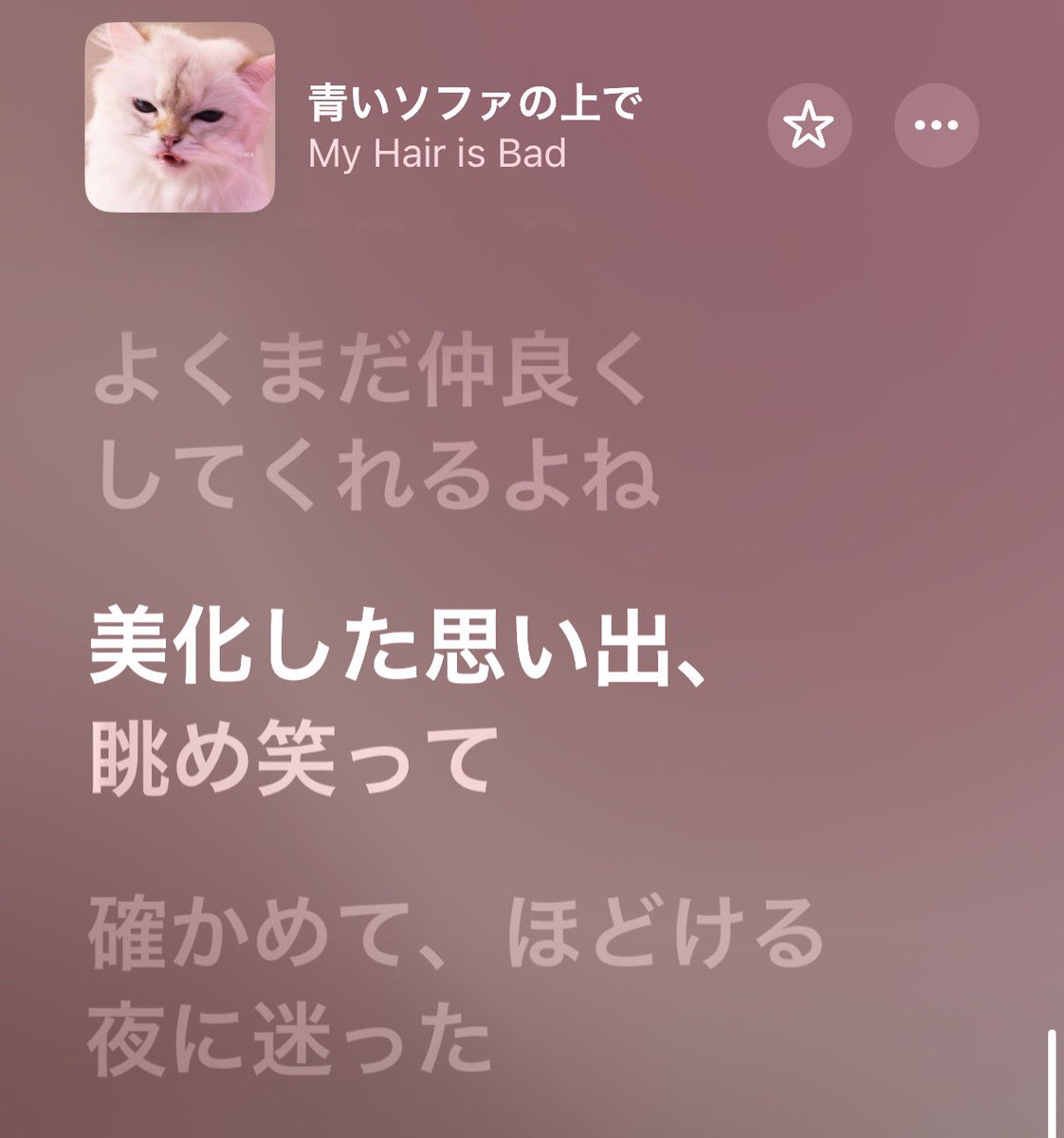 enmjtj's tweet photo. catsのお気に歌詞集🎶 https://t.co/Du9dVTbFEv