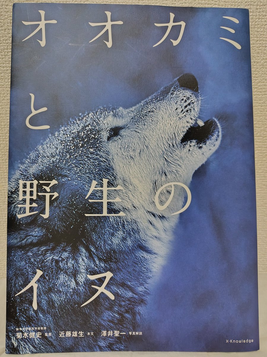 nyasu_nyagasu's tweet photo. 9/20（日）に開催される、英国現代伝奇TRPG LIMINAL（リミナル）のオンリーコンベンションです。
残り1枠です。

私もGMで参加します。シナリオは人狼（ワーウルフ）と関わるやつ…
会場は船堀駅を出てすぐ目の前のタワーホール船堀です。 https://t.co/hsCOC4etpT