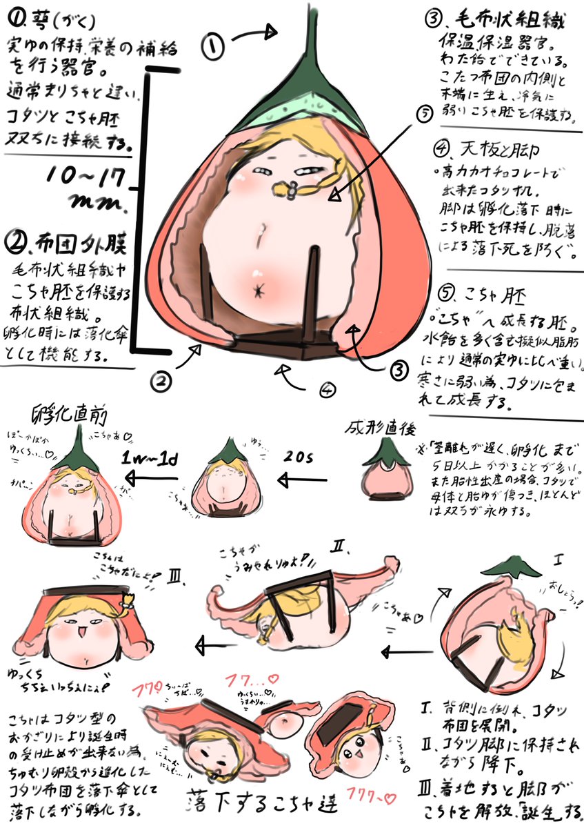 RamuneSpray's tweet photo. こちゃの実ってこんな感じかな……？ https://t.co/IZMdstaDHU