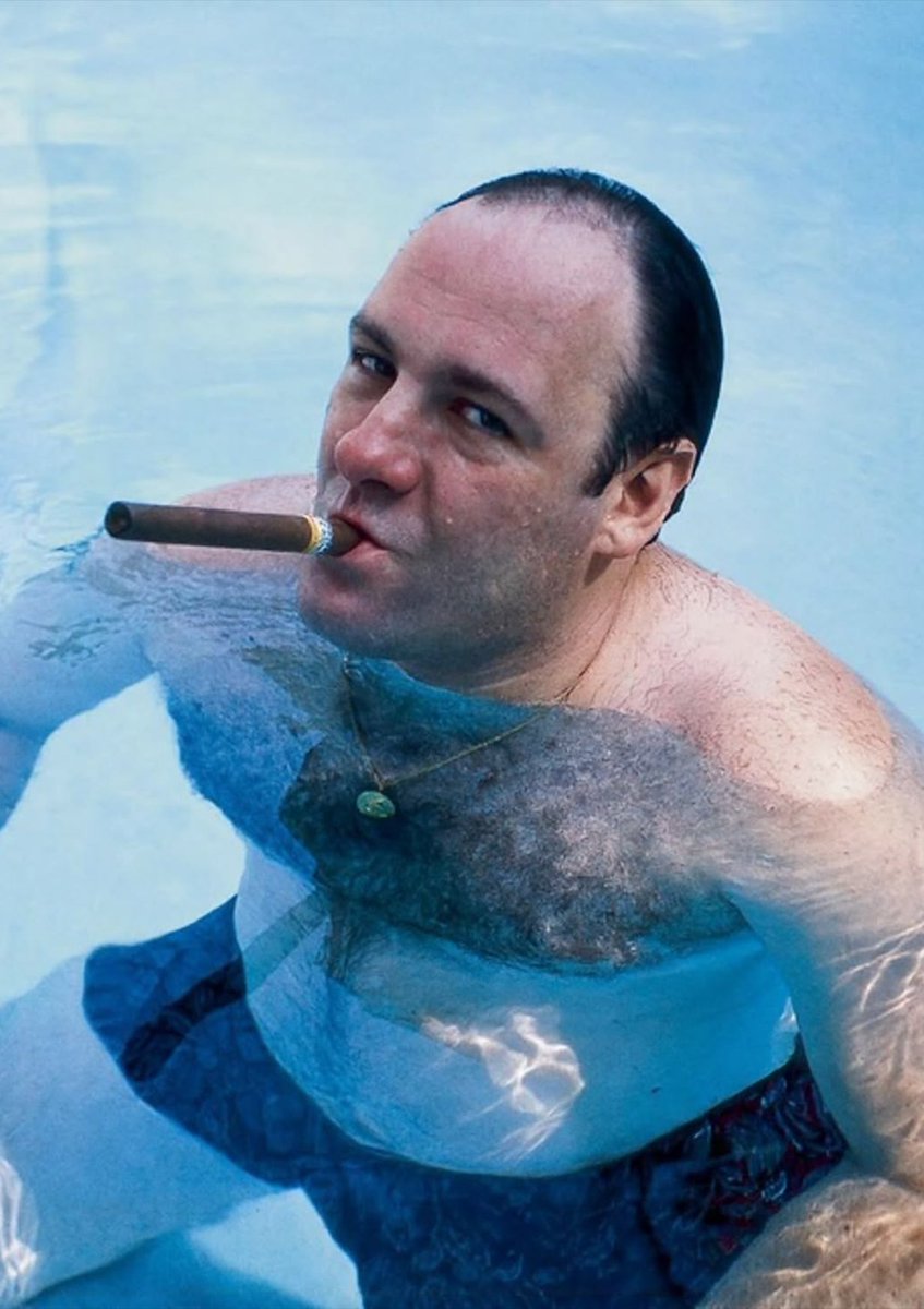 InternetH0F's tweet photo. James Gandolfini would've turned 65 today 🦆 https://t.co/Xxo9RehWoo