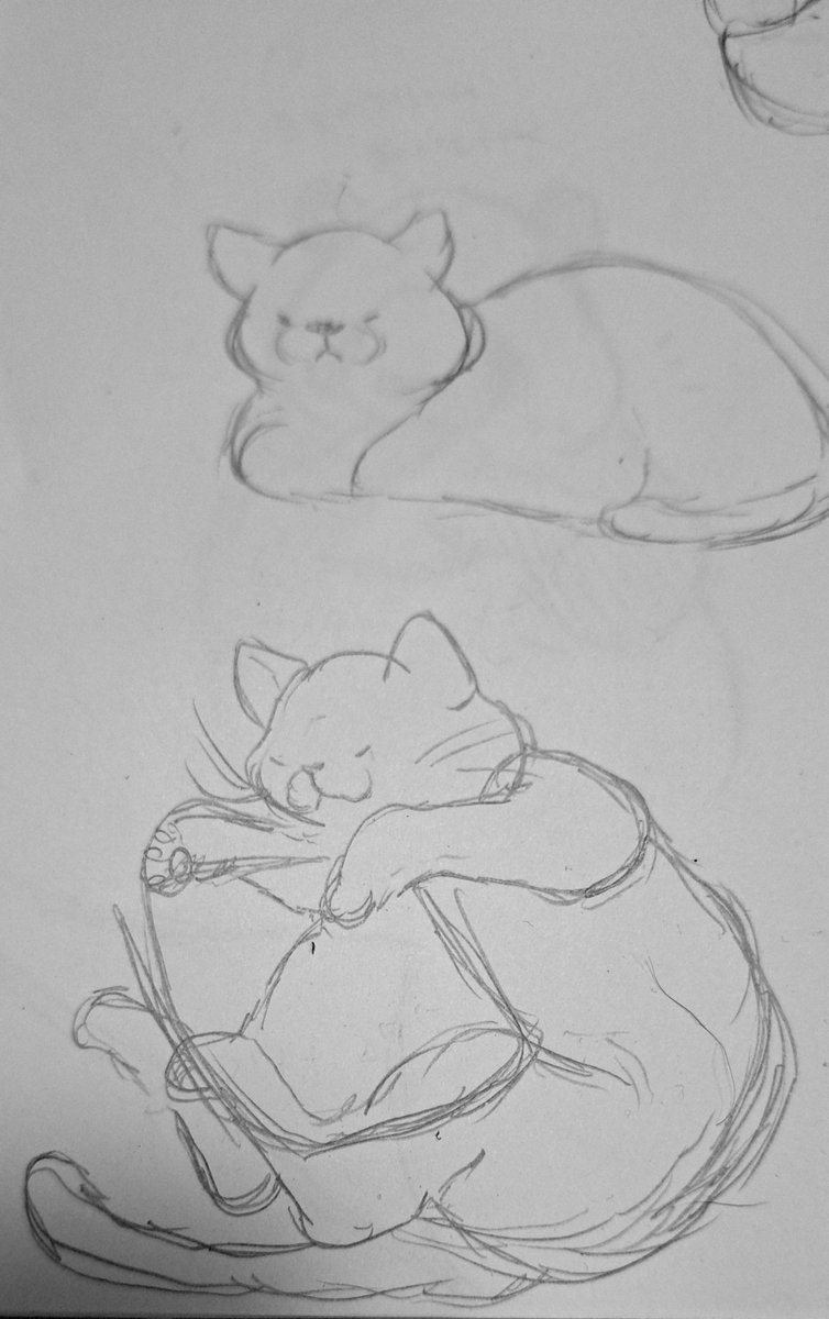 nyasuke58's tweet photo. 何を持たせようかな🐈️ https://t.co/B80XAU4ziE